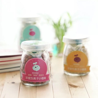 Cây mini để bàn