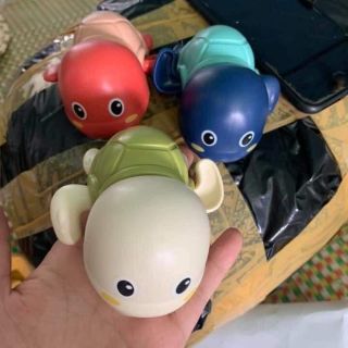 Rùa bơi trong nước