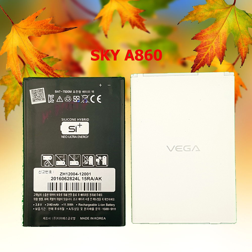 PIN SKY A860 Cell Zin