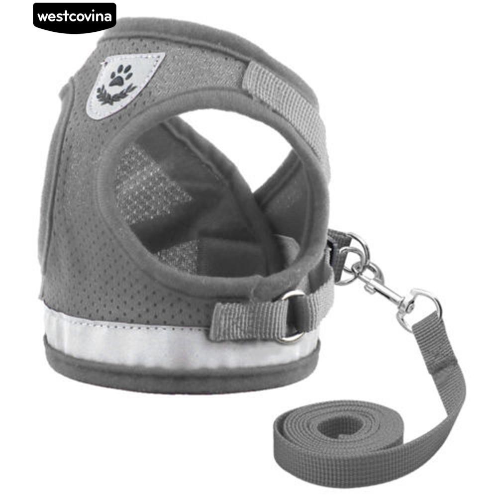 Dây Dắt Thú Cưng Đi Dạo Có Thể Điều Chỉnh Được