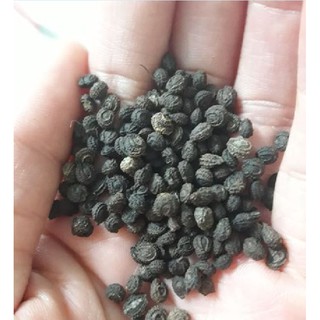  Hạt giống sương sâm lông gói 30 hạt