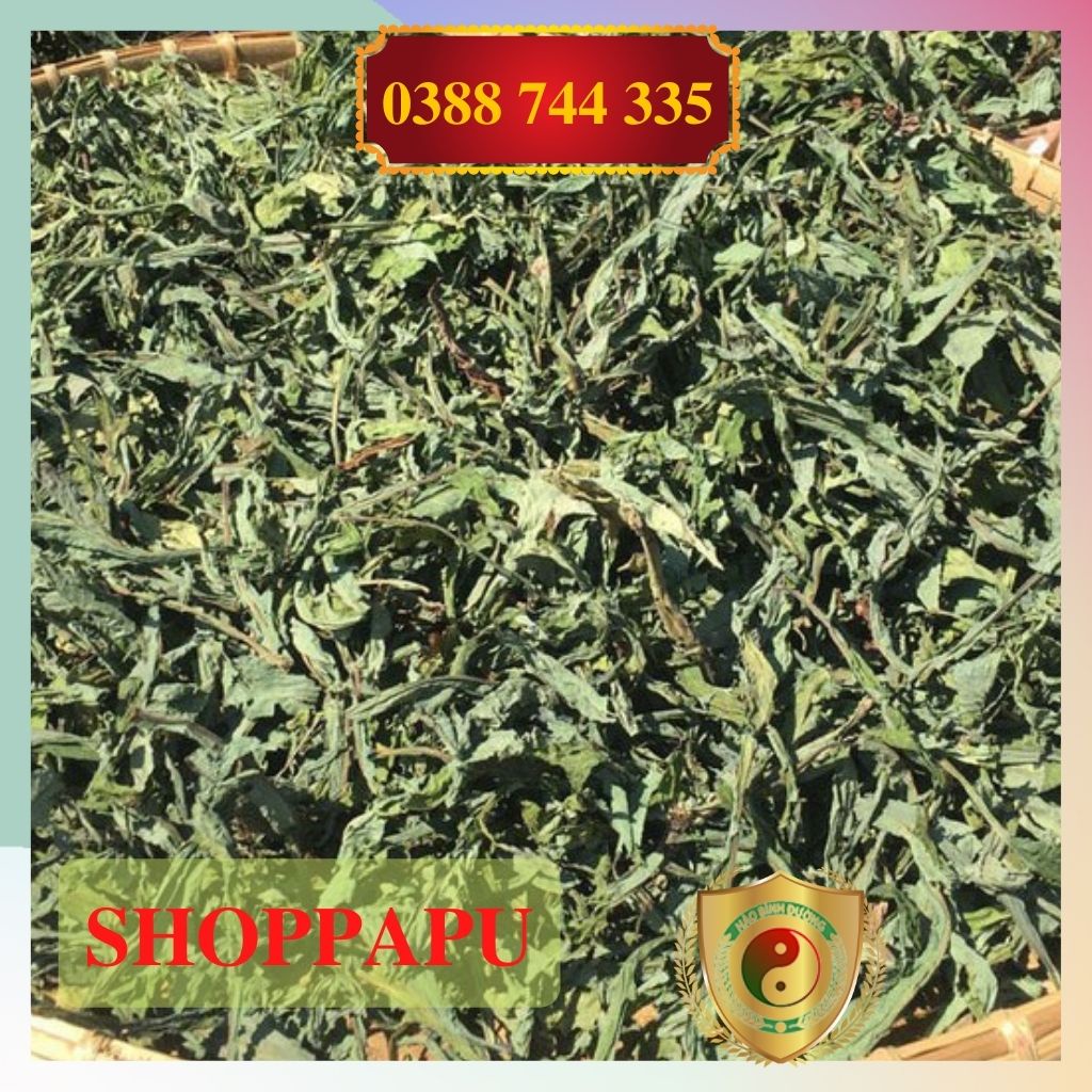 1kg Lá Cây Bồ Công Anh Sấy Khô Mát Gan, Giải Độc, Ngừa Ung Thư