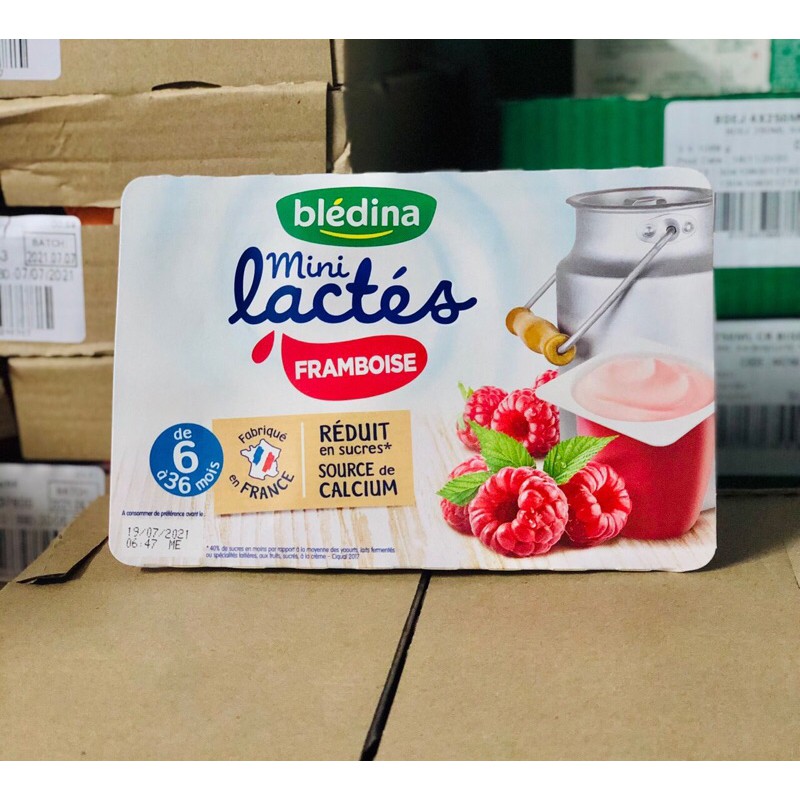 SỮA CHUA BLEDINA PHÁP vỉ 6hx55g date 10/2024