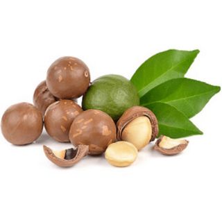 500g hạt macca sấy Lâm Đồng loại to