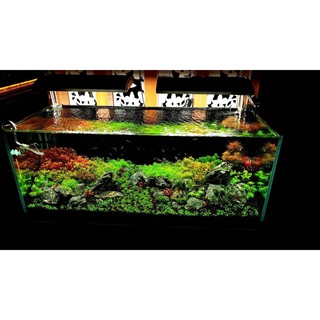 ĐÈN LED THỦY SINH WEEK ARK RGB