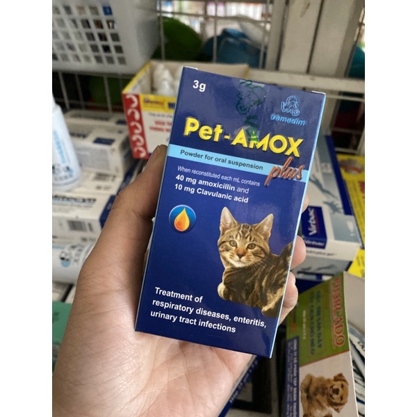 Dung dịch uống Pet Amox hỗ trợ hô hấp, tiêu hoá