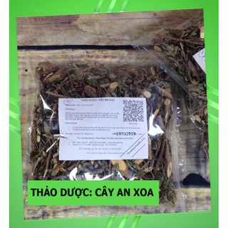 Cây An Xoa Hoa Tím 💟FREESHIP💟 Giảm Ngay 20K Khi Nhập [DUOCL20K]