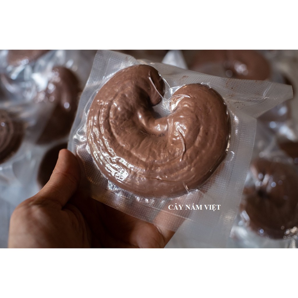 Nấm linh chi đỏ Việt Nam nguyên bào tử dễ uống - Cây Nấm Việt