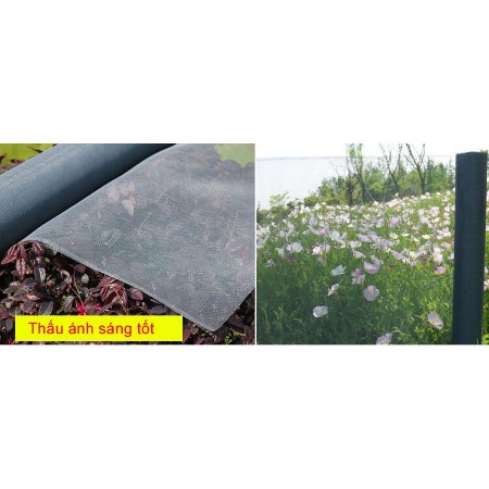 Lưới chống muỗi lưới sợi thủy tinh gia cường chống côn trùng chống bụi cho nhà ở - vườn rau - vườn quả