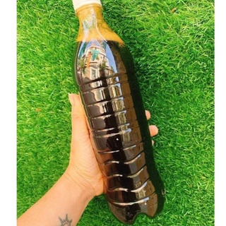 Mật mía nghệ An chai 1L