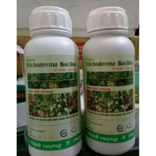 Nấm đối kháng Trichoderma