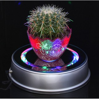 Đế xoay trưng bày sản phẩm đèn led nhiều kích cỡ