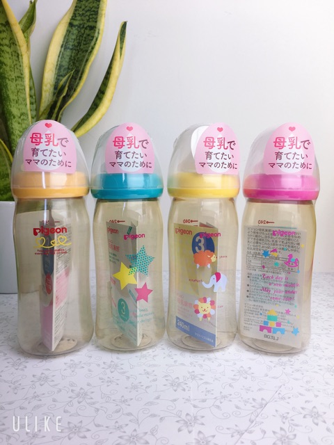 Bình Pigeon nội địa Nhật cổ rộng loại 160ml và 240ml