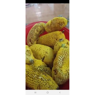 1 lít mật ong rừng Dak Lak