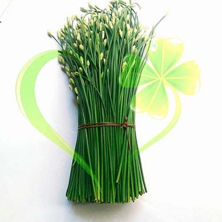 Hạt giống hẹ ăn bông - gói 1 gram