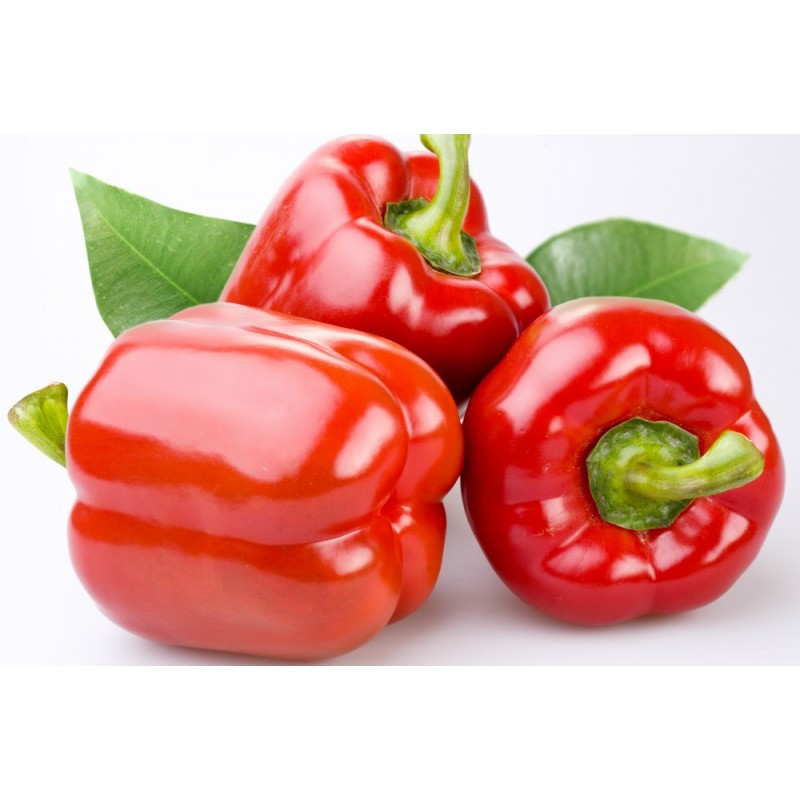Hạt Giống Ớt Chuông Đỏ Ngọt (300 Hạt) - MUA 3 TẶNG 1 CÙNG LOẠI - Ngọt ,Thơm, Giàu Vitamin