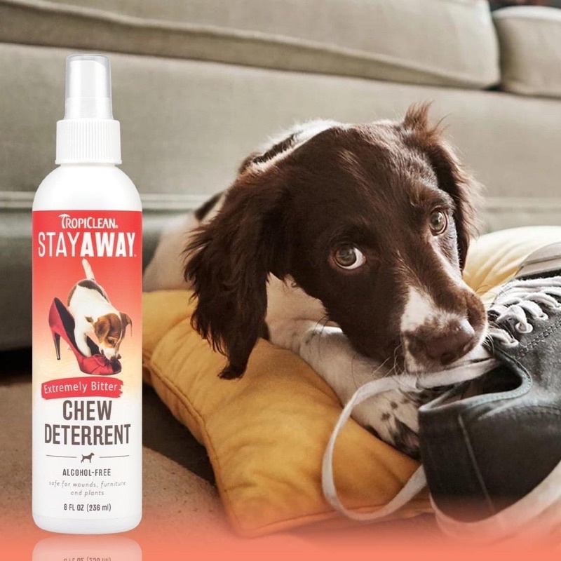 Xịt chống căn phá đồ Tropiclean dành cho chó 236ml xuất xứ Mỹ