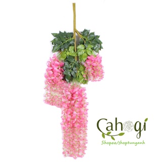 Hoa Giả - Cành Tử Đằng Trang Trí