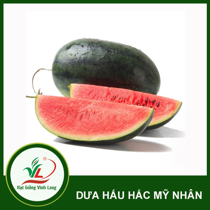 Hạt giống Dưa hấu lai F1 Hắc Mỹ Nhân TN 1328 - 1g