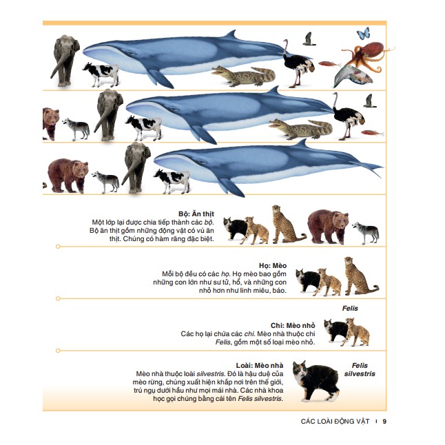 Bách khoa thiếu nhi động vật | BigBuy360 - bigbuy360.vn