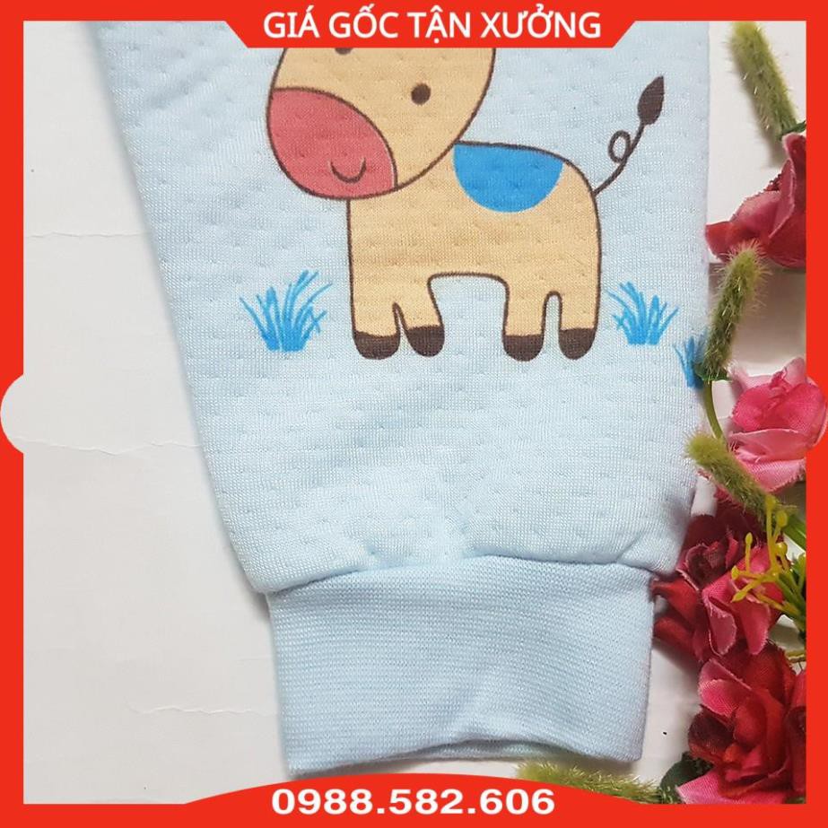 Quần Bông Sơ Sinh Dày Dặn Cho Bé Hàng Việt Nam - Loại Đẹp Ảnh Thật
