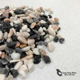 Sỏi ba màu tự nhiên ( chọn size )