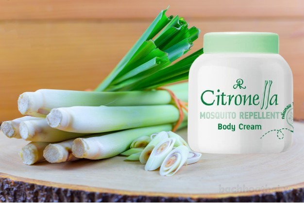Kem đuổi muỗi AR Mosquito Repellent cıtronella Body Cream Thái Lan