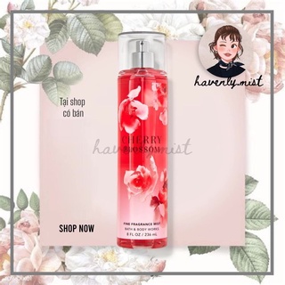 ʜᴀᴠᴇɴʟʏ.ᴍɪsᴛ ┋ xịt thơm toàn thân cherry blossom body mist