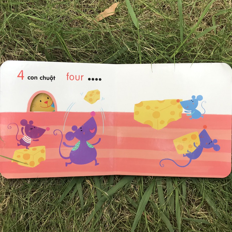 Sách: Ô Cửa Diệu Kì - Số Đếm - TSTN
