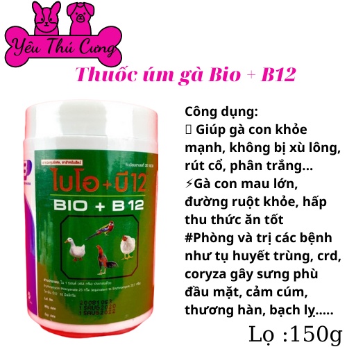 BIO B12 ÚM GÀ CON PHÒNG NGỪA TỔNG HỢP-YÊU THÚ CƯNG