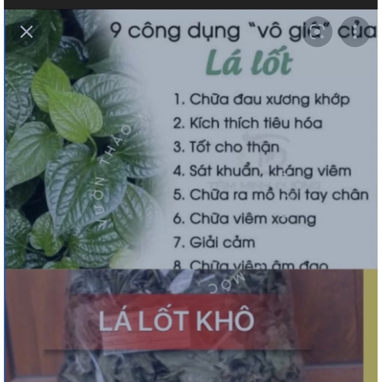 1Kg Lá lốt khô thơm mới, sạch