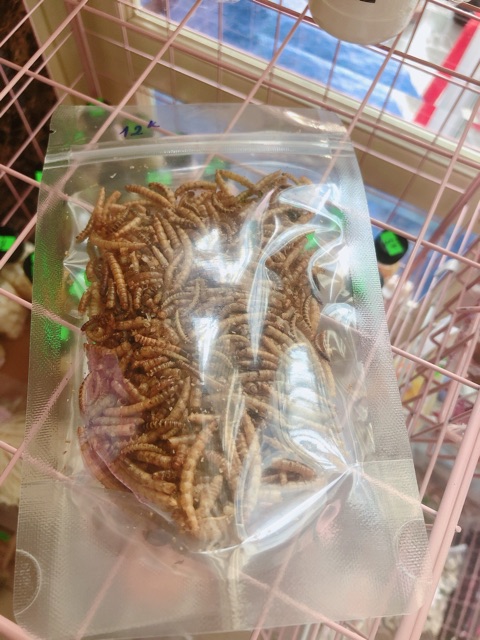 Sâu trung xơ dừa sấy khô, thức ăn vặt hamster