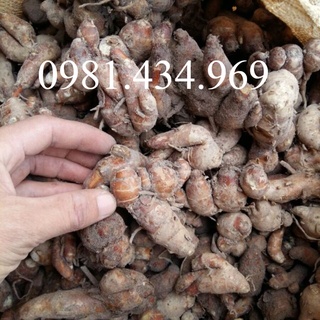 Củ địa liền tư ơi 500g