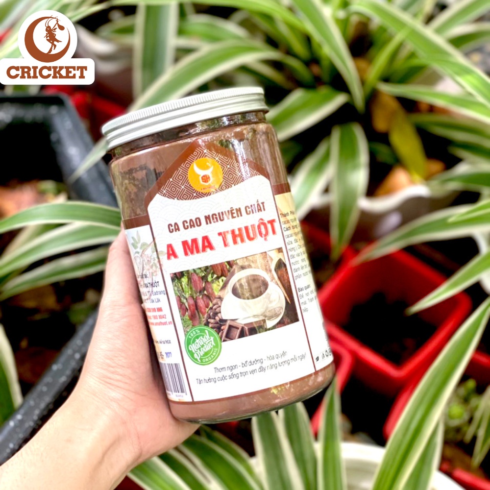 Bột Cacao nguyên chất Hộp 500 gram, bột mịn thơm ngon bổ dưỡng - A Ma Thuộc