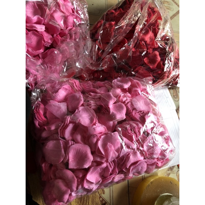 Cánh hoa hồng 100  cánh giá siêu rẻ