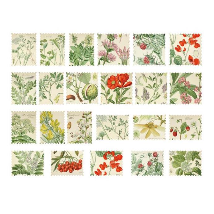 Bộ 45 Sticker Hoa Lá Hàn Quốc dán trang trí E45