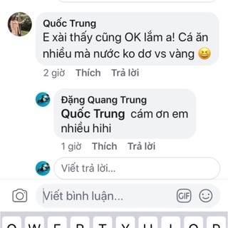 Thức ăn cá Koi No.1 bao 5kg