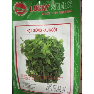 Hạt giống rau ngót