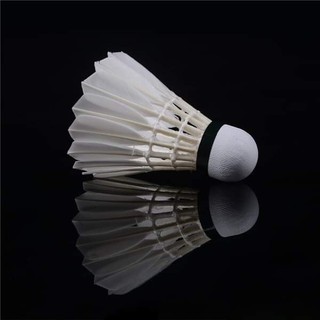 Cầu lông cao cấp thi đấu nhatan29