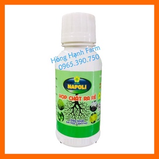 Hợp Chất Ra Rễ Mai Vàng NAPOLI (100ml), chuyên kích rễ mai vàng
