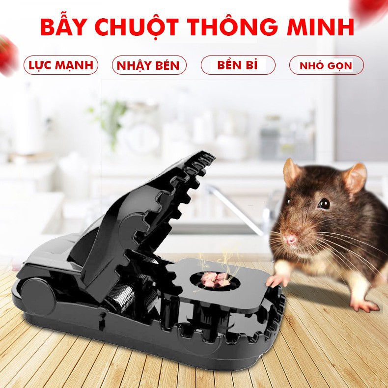 Bẫy chuột thông minh, bắt chuột hiệu quả, an toàn