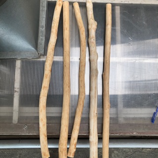 Cành cây khô tự nhiên-Chuyên làm Macrame, decor-chiều dài 60 cm