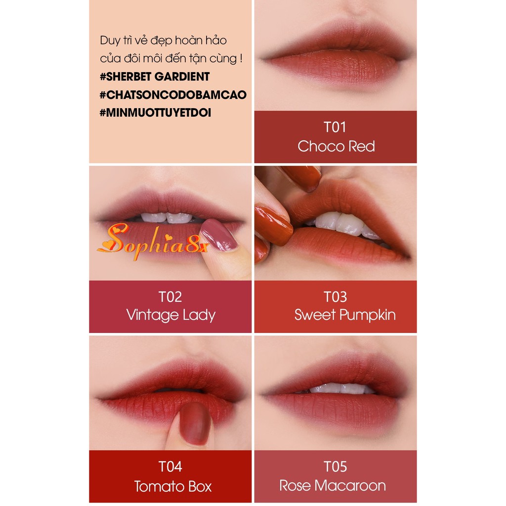 Son Kem Lì Hàn Quốc Black Rouge Air Fit Velvet Tint