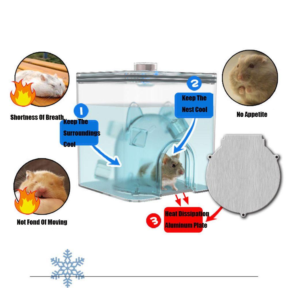 1 Tổ Làm Mát Có Đèn LED Cho Thú Cưng