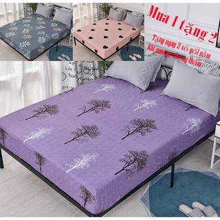 Ga chống thấm cotton💖TẶNG VỎ GỐI💖Ga chống thấm cotton 100%