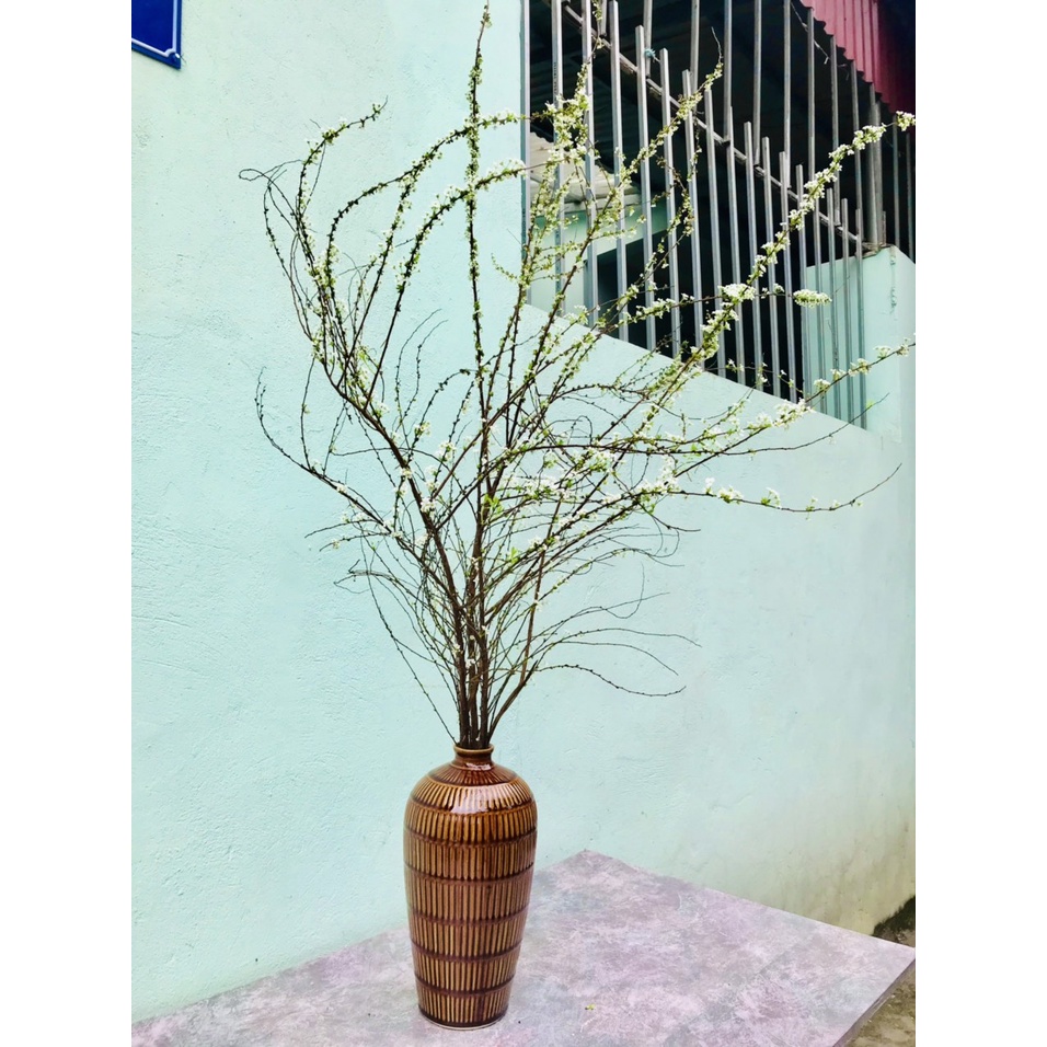 Bình Hoa Lọ Hoa Dáng Đèn Lồng Cổ Nhỏ Cắm Tuyết Mai Đẹp - Gốm Sứ Bát Tràng - Lọ Hoa Decor