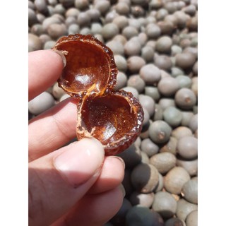 100GR bồ hòn tách hạt .Loại 1