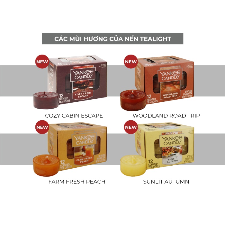 Nến Tealight Yankee Candle - Sunlit Autumn