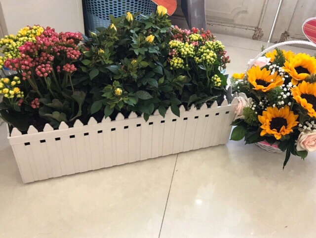 2 Chậu Nhựa Hàng Rào + Tặng vĩ lót, Chậu trồng hoa ban công (2 Size Lớn)