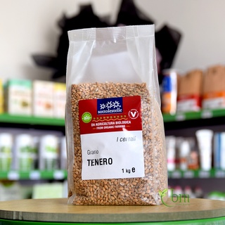 Hạt cỏ lúa mì hữu cơ dmBio/Sottolestelle